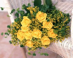 Tapeta Nature Flowers 515.jpg